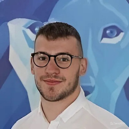 Nico Hiller