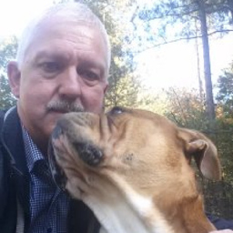 Uwe Hachmer's profile picture
