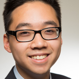 Ing. Duc Huy Marco Hoang