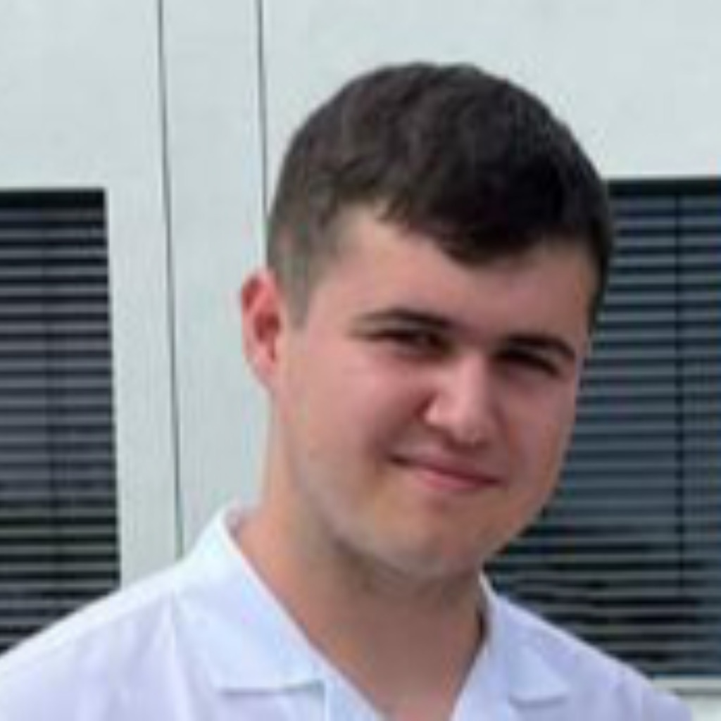 Emilio Dagn Praktikum IT MercedesBenz Ludwigsfelde GmbH XING