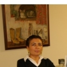Aysun Serin