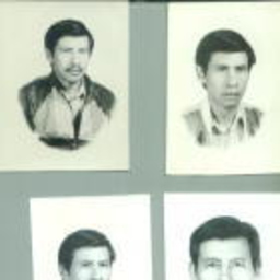 Carlos Becerril  S