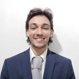 Henrique Miguel Gomes da Silva