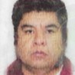 Ismael Jonas Galvan Hernandez