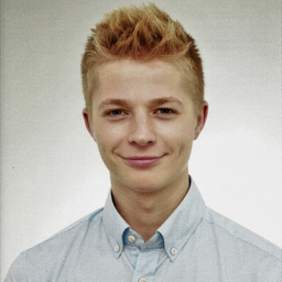 Profilbild Tom Wellnitz
