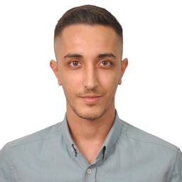 Mahdi Salahinia
