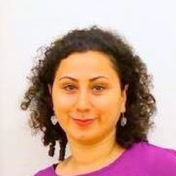 Roja Zarudi