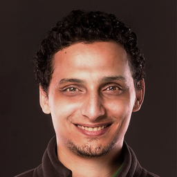 Mohammed Elwany