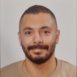 Mohamed Sabry Moustafa