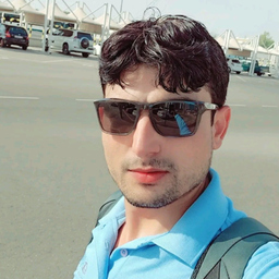 Muhammad Anees