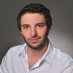 Ing. Michael Hirt