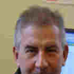 Wilfried Vögel