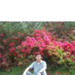 志锋 甘