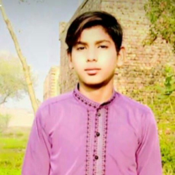 Muhammad Zain Abbas