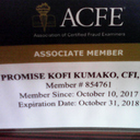 Promise Kofi Kumako