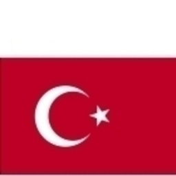 mustafa Erdil