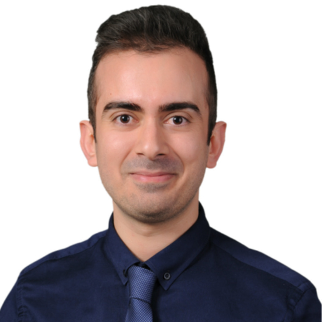 Ali huzmeli team leader enf software gmbh xing