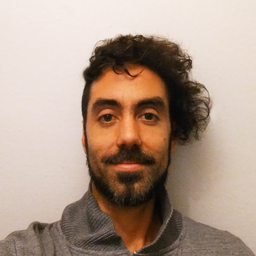Ignacio Carponi Flores