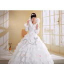 Plus Size Bridal gowns with Sleeves