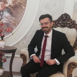 Amir Fazel