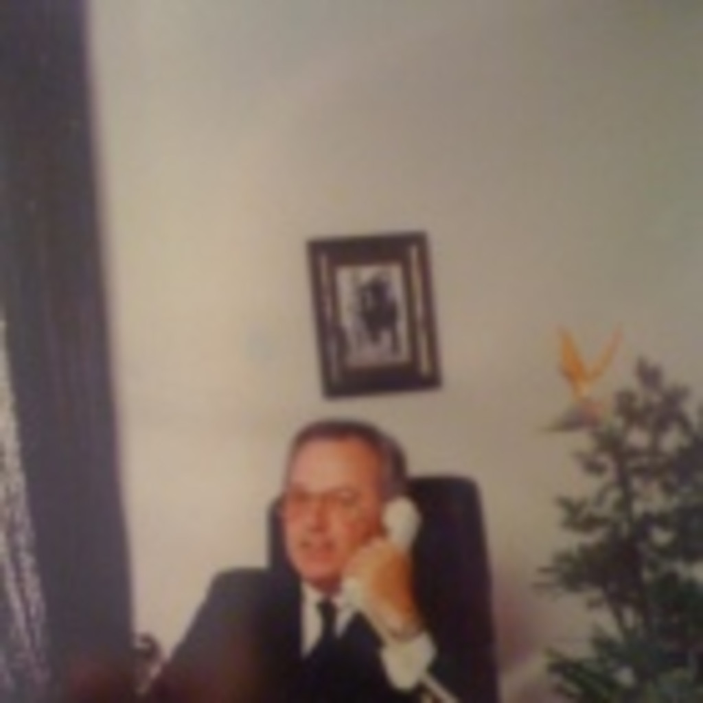 Peter Häberle selbstständig FLP XING