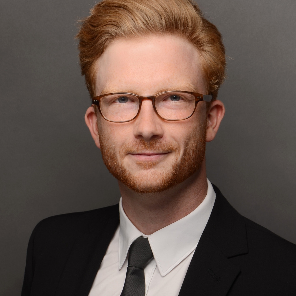 Dr. Nico Reinke Berater frei XING