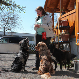 canis adjuvans- der helfende Hund Cornelia Kisser