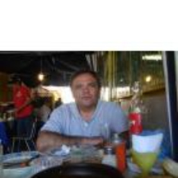 luis torres silva