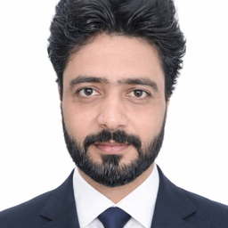 Muhammad Anas Zain Ullah