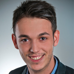 Dzenis Rizvic
