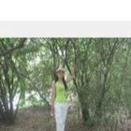 格 张