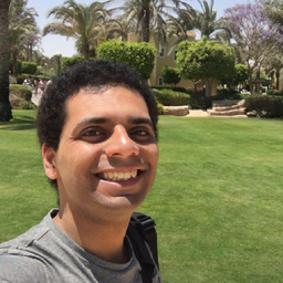 Chadi Elsayed