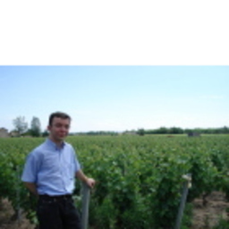 Enric GARCIA-CAUREL