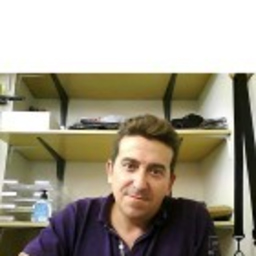 Pedro Simon castro Lopez