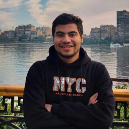 mohamed gaber