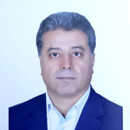 amir najafi