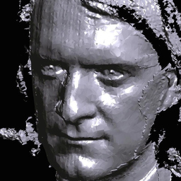 Bertrand BUSSON