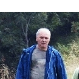 Dan Popa