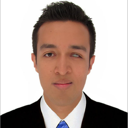 Dipl.-Ing. Gustavo Yerena-Ihm