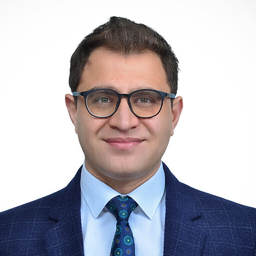 Ing. Ali Maher