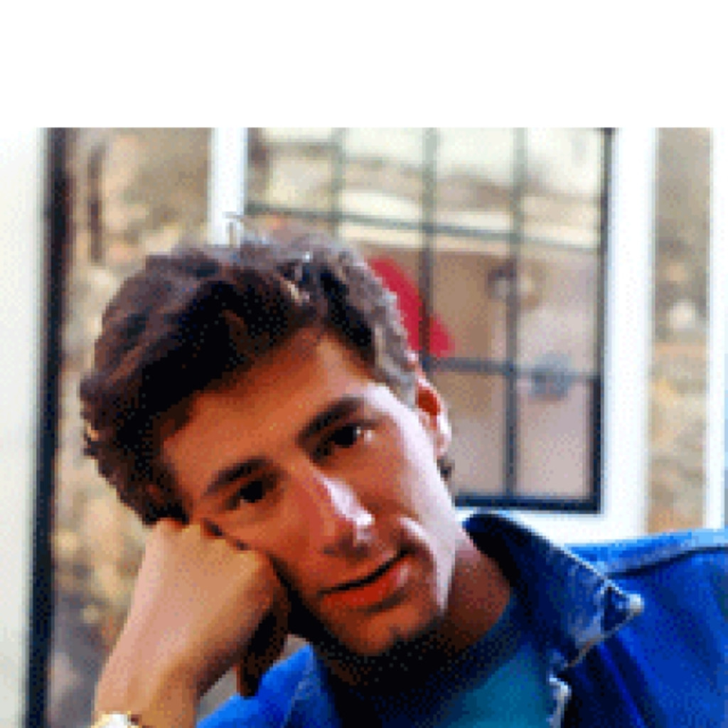 Rainer Hammerer IT Berater Net IT Service XING