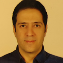 majid karimian