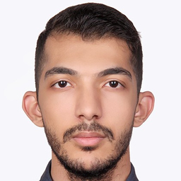 Sina Heidari