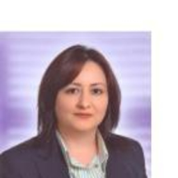 Meriç çelik
