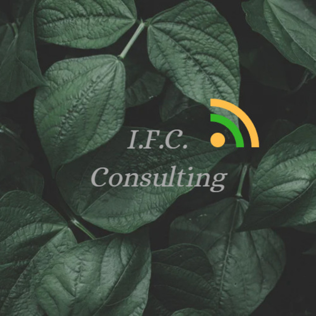 Isacco Francesco Comandini Consulente di Sharing Economy I.F.C