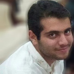 Ali Ansari
