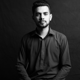 Syed Hamza Ali