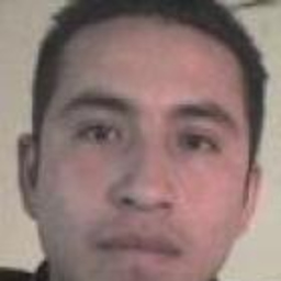 fabian flores