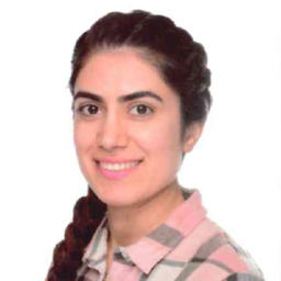 Nazanin Heidari Bateni