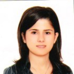 İrem Erol